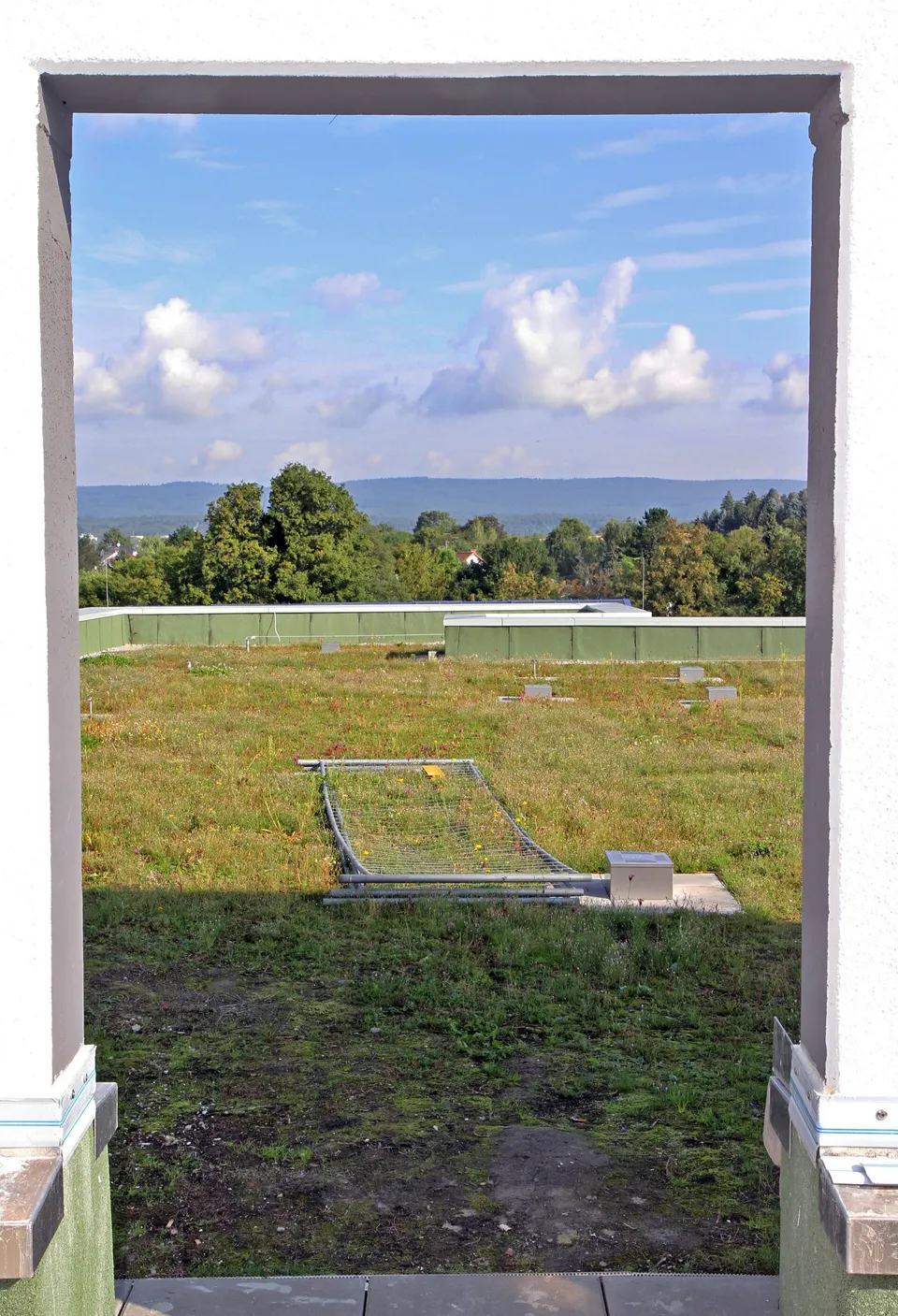 Green roof on a low-rise building